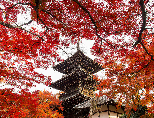 5 Kuil di Kyoto Jepang yang Menyimpan Cerita Sejarah