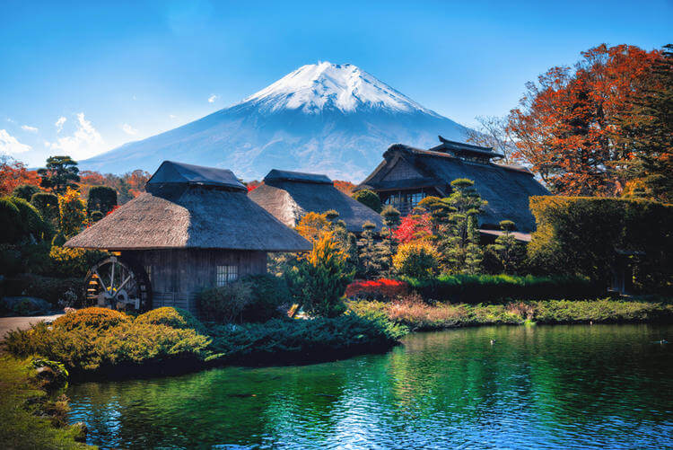 Panduan Wisata di Jepang untuk Umat Muslim