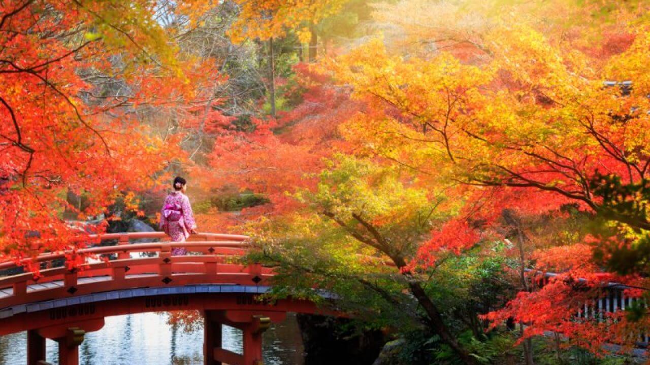6 Hal yang Harus Kalian Tahu Sebelum Berkunjung ke Jepang