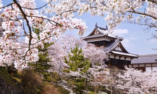 nama musim dalam bahasa jepang