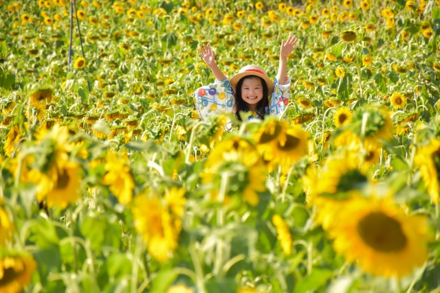 Tips Aman Liburan Musim Panas ke Jepang
