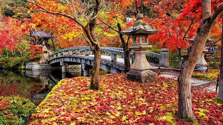 4 Spot Terbaik untuk Momijigari di Hokkaido