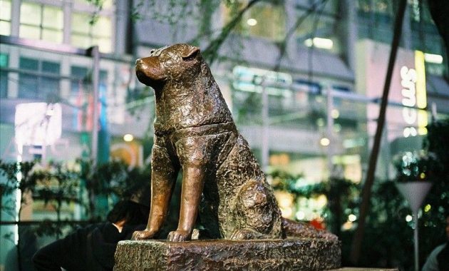 Wisata Jepang di Shibuya