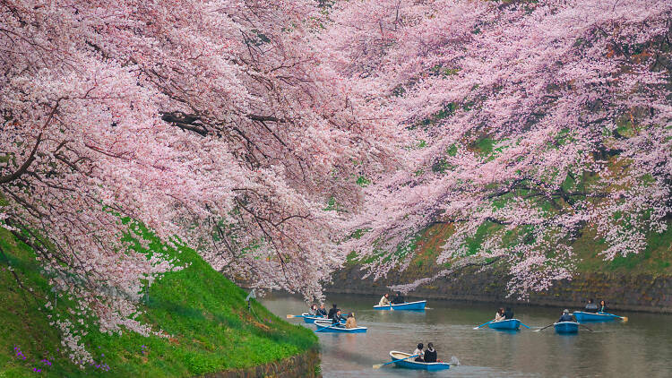 Main Lebih Gampang dengan 6 Panduan Wisata Tokyo Ini!