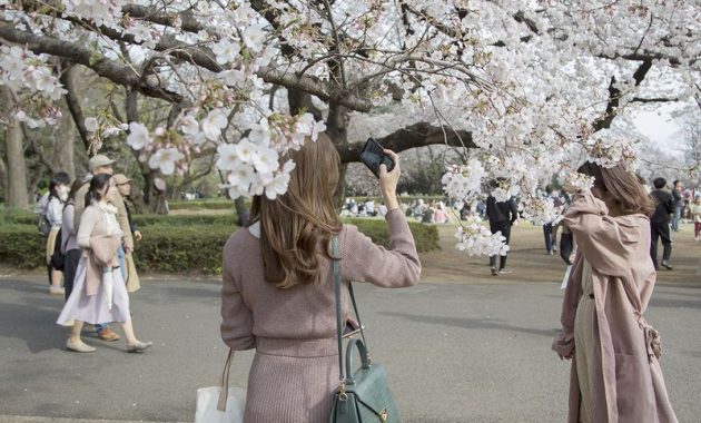 pakaian musim semi di jepang