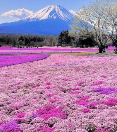 Panduan JR Pass untuk Turis Indonesia