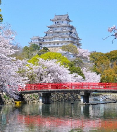 Panduan Lengkap Wisata Jepang untuk Keluarga